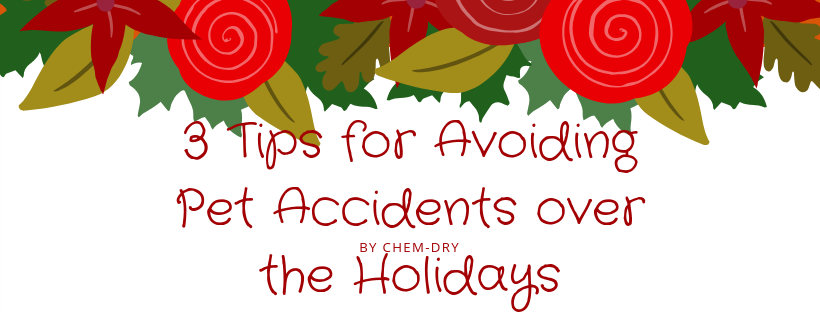 3 Tips for Avoiding Pet Accidents Over the Holidays