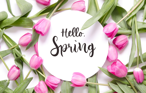 Hello Spring by Chem-Dry Clearwater/Largo