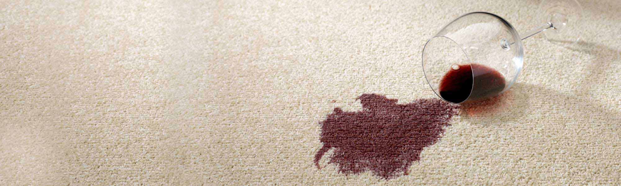 Professional Stain Removal Service in Clearwater & Largo